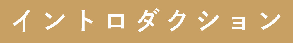 イントロダクション